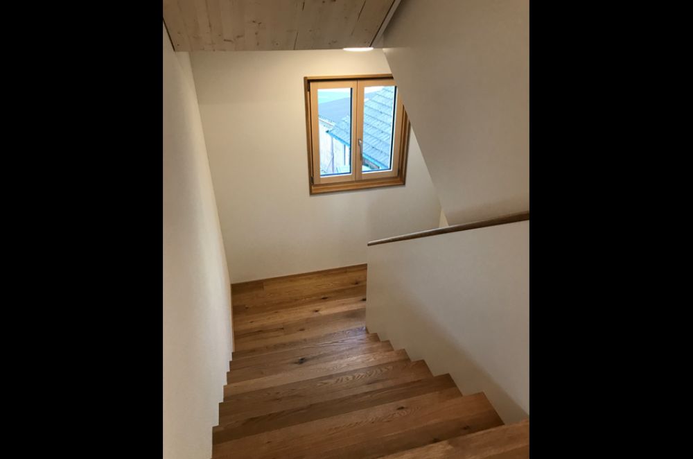 Neubau/Ortsbildschutz EFH Steinach