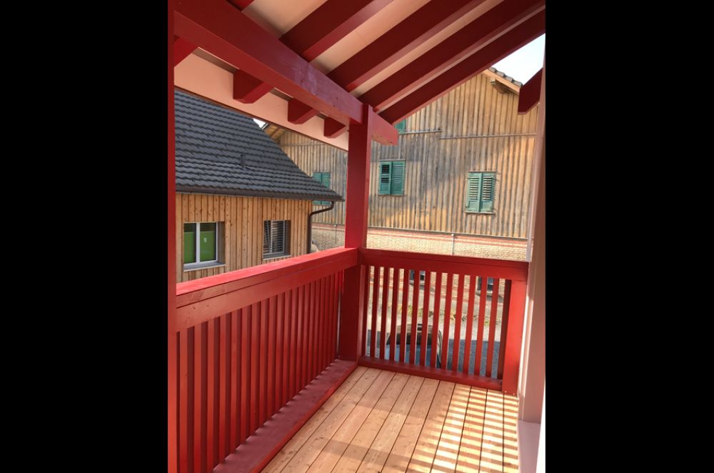 Neubau/Ortsbildschutz EFH Steinach